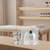 Appareil de ventouses Luo Ya Shan Chuan, ventouses à feu, pot en plastique, utilisation à domicile, salon de beauté, outil d'élimination de l'humidité, réservoir de classe I
