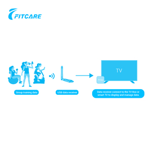 Hệ Thống Quản Lý Thu Thập Dữ Liệu Tập Thể Dục Nhóm TeamFitPlus - Product Image 2