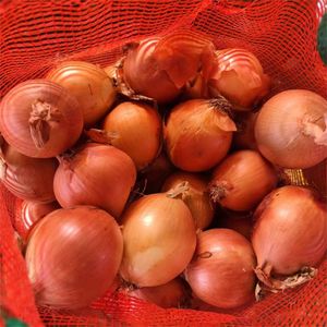 Légumes délicieux 3-4 cm Petites et grandes tailles Oignon rouge Oignon frais chinois - Product Image 6