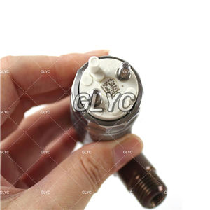 Pièces de machines de construction Injecteur de carburant diesel 3200690 2645A749 <span class=keywords><strong>320</strong></span> 0690 <span class=keywords><strong>320</strong></span>-0690 pour CAT C6.6 320D 938H 928H 924H 930H 924HZ Offre Spéciale - Product Image 5