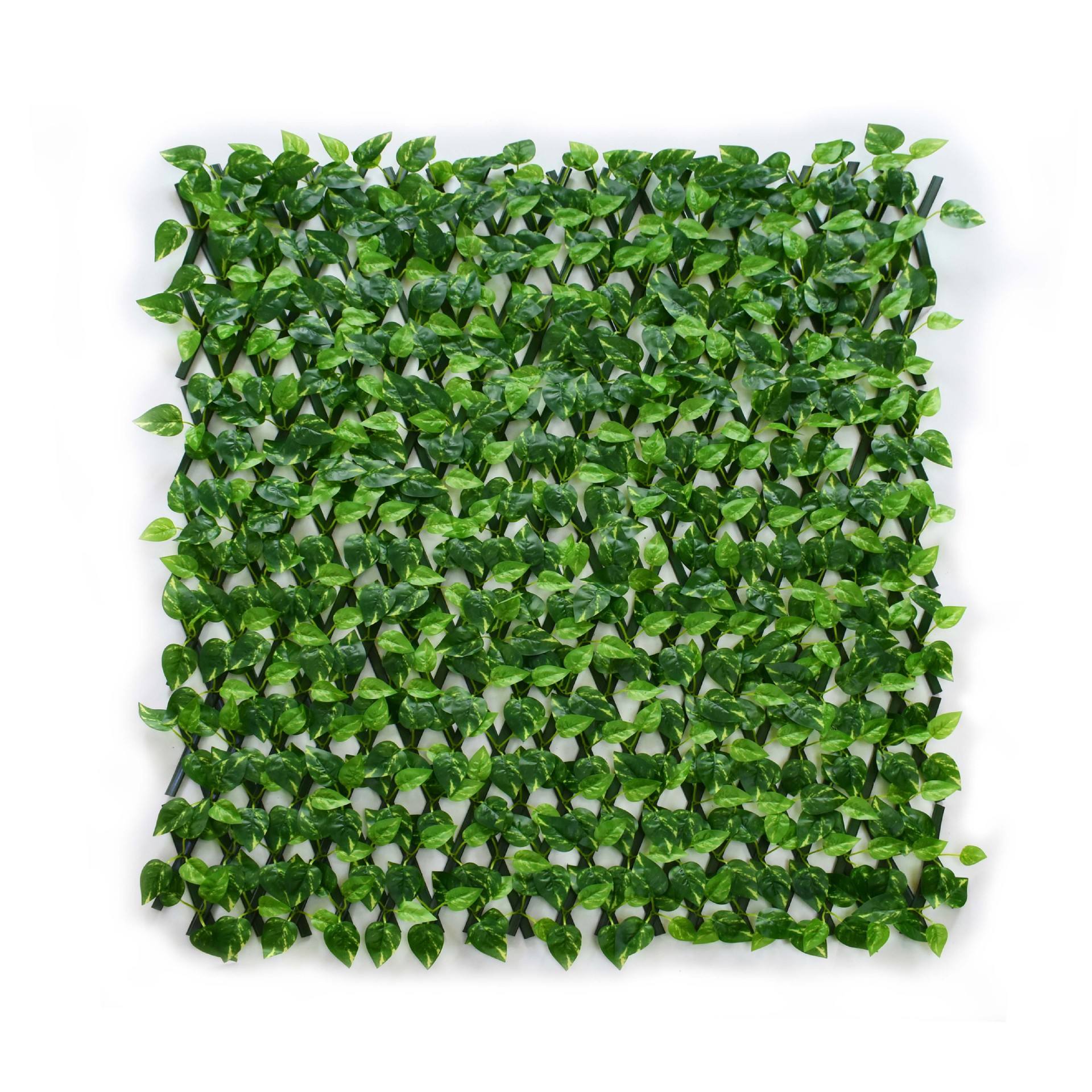 Valla de hojas verdes