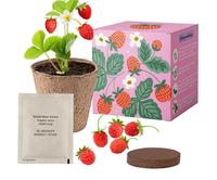 Coffret cadeau écologique avec jardinière en bambou Carte de voeux Fête des mères Cadeau d'anniversaire de pendaison de crémaillère