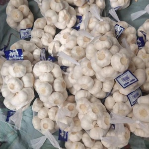 กระเทียมสด ขนาด 5.0-5.5 ซม. ผัก 10 กก. บรรจุกล่อง ราคาส่งออก - Product Image 5