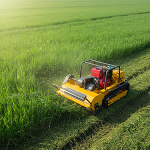 <span class=keywords><strong>Cortadora</strong></span> <span class=keywords><strong>de</strong></span> <span class=keywords><strong>Césped</strong></span> Robótica Autopropulsada con Motor <span class=keywords><strong>de</strong></span> Gasolina Todoterreno <span class=keywords><strong>de</strong></span> Gran Capacidad, con Certificación CE y EPA Euro 5, Envío Gratuito - Product Image 2