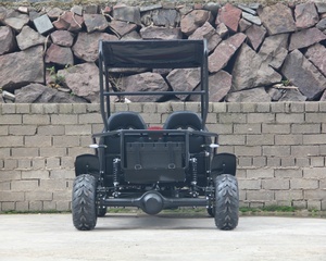 Rapporto di trasmissione 10:<span class=keywords><strong>1</strong></span> <span class=keywords><strong>Go</strong></span> <span class=keywords><strong>Kart</strong></span> elettrico 2 posti con batteria al piombo <span class=keywords><strong>Kart</strong></span> fuoristrada 60 v20ah - Product Image 5