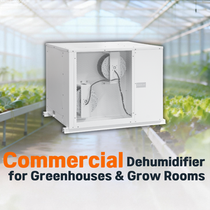 Stokta kapalı yetiştirme için Greenhouse qua sera nem sıcaklık ve nem kontrolü - Product Image 1