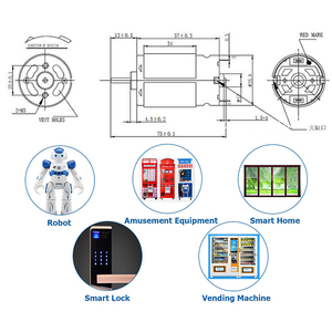 Động Cơ Bánh Răng DC 18V 20000RPM Động Cơ Bánh Răng Điện Mô-men Xoắn Cao Trục Đầu Ra Trung Tâm Hộp Số Đường Kính 37Mm - Product Image 3