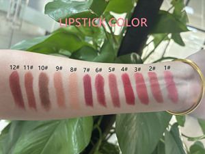 Lápiz Labial Mate Vegano de Lujo de Marca Privada al por Mayor, Libre de Crueldad Animal, de Alta Pigmentación, Lápiz Labial Magnético Brillante con Bolsa - Product Image 5