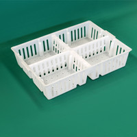 Caisse de transport pour poussins en plastique cage de transport pour poulets vivants cage de transport empilable pour bébé poussin