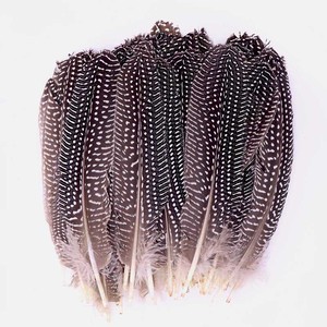 Alas <span class=keywords><strong>de</strong></span> búho <span class=keywords><strong>de</strong></span> <span class=keywords><strong>Guinea</strong></span> para manualidades, plumas <span class=keywords><strong>de</strong></span> 6-8,4 pulgadas (15-21 cm) con patrón Natural, <span class=keywords><strong>precio</strong></span> barato <span class=keywords><strong>de</strong></span> fábrica, DIY - Product Image 1