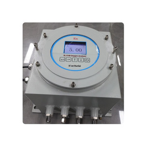 Analizador de Oxígeno O2 a Prueba de Explosiones Runlai E100 de Fácil Operación, Pantalla LCD Digital, Detector de Oxígeno Personalizable - Product Image 1