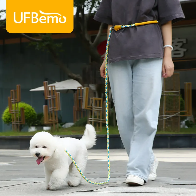 UFBemo Pet Supplies Factory Redesign Best Selling Dog Slip Lead For Training Round Rope Dog Training Collar Leash Pet Leash