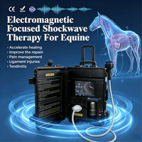 Equipo de Terapia de Ondas de Choque Enfocado en Veterinaria, Máquina de Ondas de Choque para Recuperación Equina, Alivio del Dolor y Rehabilitación