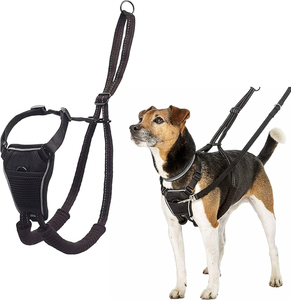 Custom No Pull Dog Harness Adjustable <b>Reflective</b> Pet Dog Training Harness <b>Vest</b> and Leash for Small Dogs No Pull Dog Harness - Product Image 1