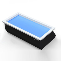 2*2 2*4 Australie Full Spectrum 60W Tuya Smart Coelux LED Blue Skylight Salle de bain