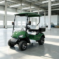 Voiturette de golf électrique 2 places 60V Lithium, buggy de golf 4KW à moteur haute puissance, mini-voiture pour adultes