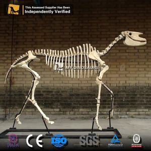 Mi Dino L144 personalizado tamaño Animal <span class=keywords><strong>gorila</strong></span> <span class=keywords><strong>esqueleto</strong></span> fósil para museo - Product Image 4