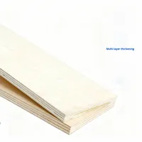 Panneau stratifié pour décoration intérieure, écologique, sans fumigation, emballage DIY, pour cloisons artisanales, usage intérieur