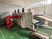 Nauwkeurige temperatuurregeling roestvrijstalen automatische okra-meshband hetelucht droger groentedroogmachine 220V/380V