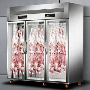 Réfrigérateur de présentation de viande à large gamme d'utilisations, congélateur vertical de qualité commerciale - Product Image 2