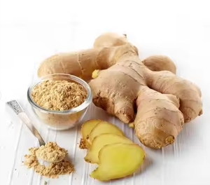 Oem/ODM bán nhà máy gừng chiết xuất từ rễ bột 5% gingerols nhà máy chiết xuất bột gừng - Product Image 3