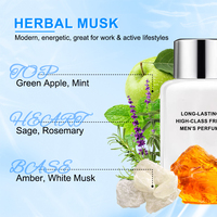 Parfum de luxe pour hommes avec eau de parfum de haute qualité pour hommes, agrumes, épices boisées, musc, herbes, longue durée