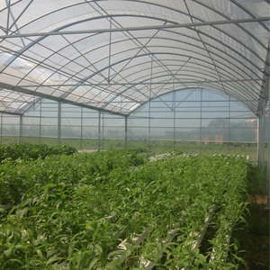 Systeme Refroidissement <span class=keywords><strong>Film</strong></span> Pour Serre Anti Uv Tete Pour Cheveux Allevamento Lumache <span class=keywords><strong>Noir</strong></span> Plastique Vetro-Per-Serre - Product Image 1