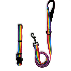 Collar de Nailon Personalizado para Perros con Hebilla, Diseño Floral, Geométrico y Arcoíris para Perros Pequeños - Product Image 6