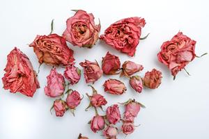 Natural <b>Dried</b> Rose <b>Petals</b> Herbal Tea Infusion <b>Petals</b> Bulk Botanical Tea Ingredient Supply - Product Image 5