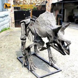 <span class=keywords><strong>Esqueleto</strong></span> de Dinosaurio <span class=keywords><strong>Triceratops</strong></span> 3D Realista para Exhibición en Museo, MY DINO DS-143 - Product Image 1