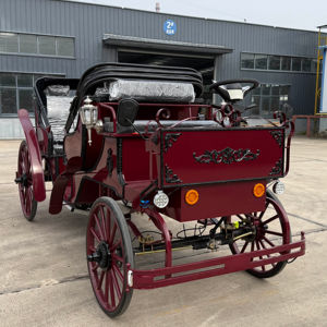 Carruaje de Caballos de la Mejor Calidad, Carruaje Turístico Eléctrico de Lujo Europeo - Product Image 1