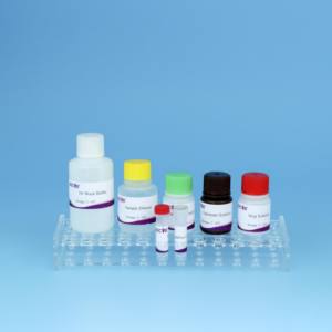 IFN-y ELISA-Kit für Rinder tuberkulose | 96T Cattle <span class=keywords><strong>TB</strong></span> Diagnostic Kit | CE-zertifizierter Veterinär <span class=keywords><strong>test</strong></span> - Product Image 6