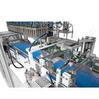 Machines d'emballage de carton de peinture pour ligne de production chimique Entièrement automatique peinture Servo Case Packer