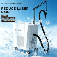 Système de refroidissement professionnel à air froid pour la peau, soulageant la sensation de brûlure après le laser.