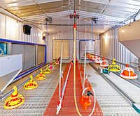 Nouveau régulateur automatique pour élevage de poulets et kit complet, abreuvoir en plastique moulé Big Herdsman pour volailles