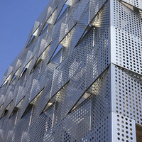 Paneles de Pared Cortina de Aluminio Perforado - Revestimiento de Fachada con Imagen Artística en Tonos Medios para Arquitectura Moderna