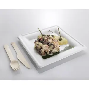 Assiette jetable ronde écologique et biodégradable en bagasse de canne à sucre - Product Image 3