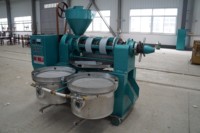 Presse à huile à froid et à chaud à haut rendement YZYX120WZ pour graines de sésame, d'arachide et de tournesol - Semi-automatique, capacité de 270 kg/h