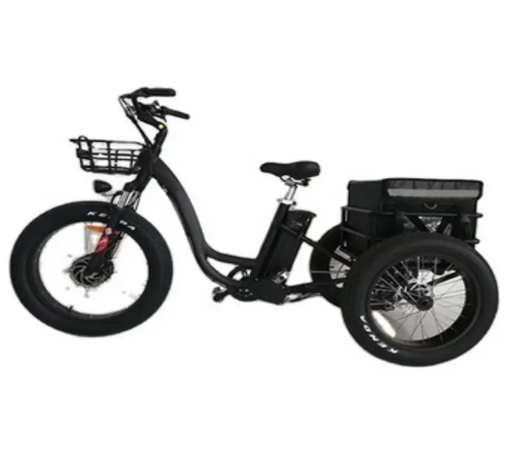 Tricycle électrique à trois roues, 2022, batterie au Lithium, 48v, 500w