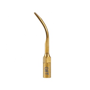 1 pièce Embouts de détartreur piézoélectriques ultrasoniques dorés G1T G2T G3T G5T G6T P1T P3T <span class=keywords><strong>P4T</strong></span> compatibles avec le détartreur à main EMS Woodpecker - Product Image 2
