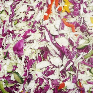 Línea de Procesamiento Comercial de Ensaladas, Línea de Producción de Vegetales, Línea de Corte, Lavado y Secado de Frutas y Verduras - Product Image 4