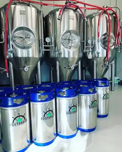 300L 500L Pub/beer Bar/hotel Beer Brewery Used Micro Beer Brewing Equipment For Sale