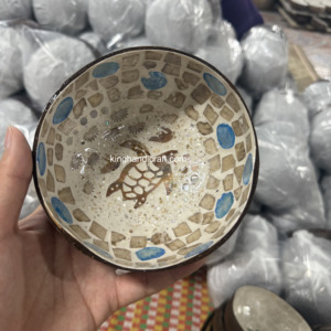 Bol en coquille de noix de coco fait à la main écologique avec laque brillante | Bol de cuisine réutilisable biodégradable - Product Image 1