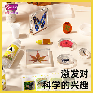 Onshine Juego de juguetes de resina con especímenes de insectos, mariposas y escarabajos para explorar la naturaleza, para niños de 8 a 13 años - Product Image 4