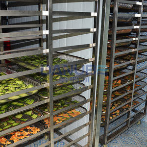 Customized Fruit <b>Drying</b> <b>Equipment</b> Mango Pineapple Orange Dehydrator Machine Mango <b>Drying</b> Room - Product Image 4