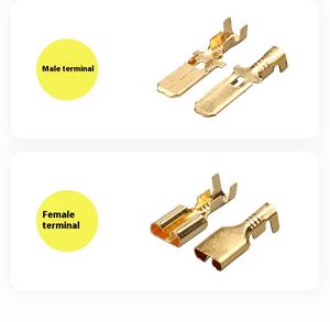 DJ7062A-6.3-11/21自動車用コネクタ国内6Pコネクタバッテリー6070-6481 - Product Image 4