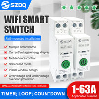 Mini Disjoncteur Intelligent WiFi pour Maison Connectée, Compteur d'Énergie et de KWh 0-63A avec Relais Temporisé