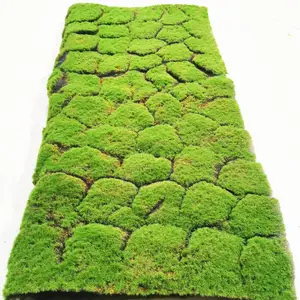 Microlandschaft Decor Customized Moss Wall Panel Art Artificial Moss Carpet Turf Artificial Mat