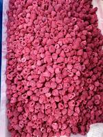 Groothandel FD Fruit Frambozenblokjes Zonder Toegevoegde Suiker Gezonde Snack in Bulk Vacuümverpakking Uit China