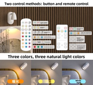 Spotlights <strong>Indoor</strong> <strong>with</strong> Remote 2000mAh Rechargeable Battery Plant Spotlight Wireless up <strong>Lighting</strong> 3CCT LED Picture Accent <strong>Lighting</strong> - Product Image 4